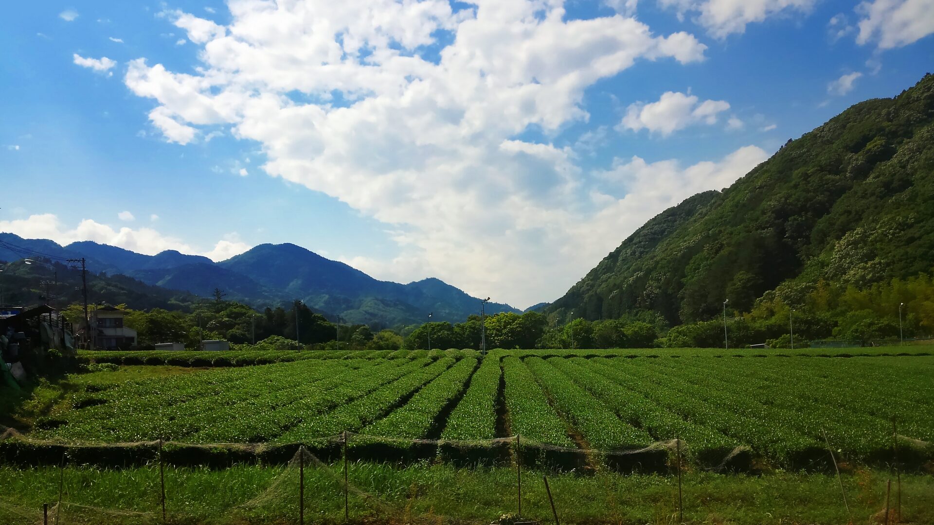 清川村の風景